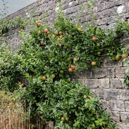 Ferienhaus The Laundrymaid's Grange-over-Sands