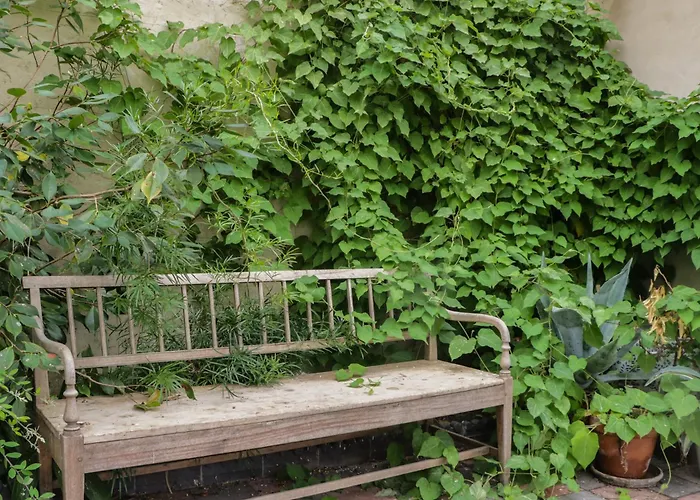 The Laundrymaid's غْرانج أوفار ساندس