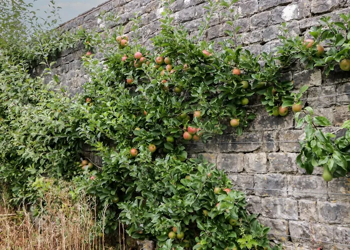 بيت للعطل The Laundrymaid's غْرانج أوفار ساندس